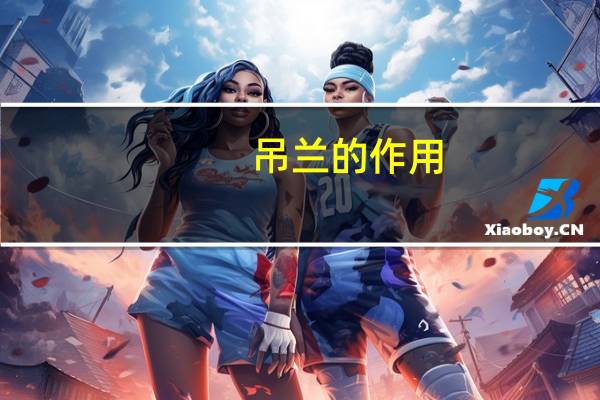 吊兰的作用