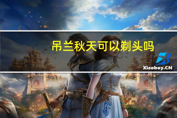 吊兰秋天可以剃头吗