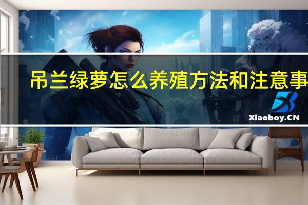 吊兰绿萝怎么养殖方法和注意事项