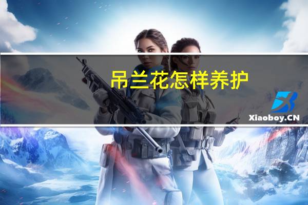 吊兰花怎样养护