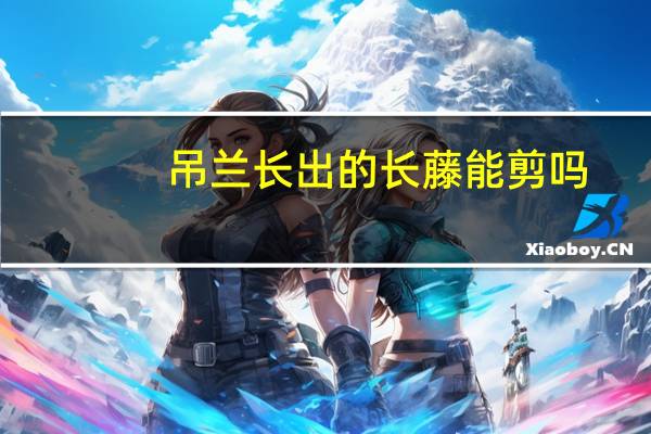 吊兰长出的长藤能剪吗