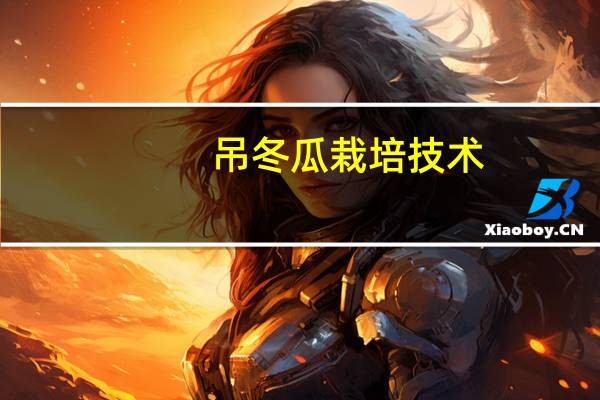 吊冬瓜栽培技术