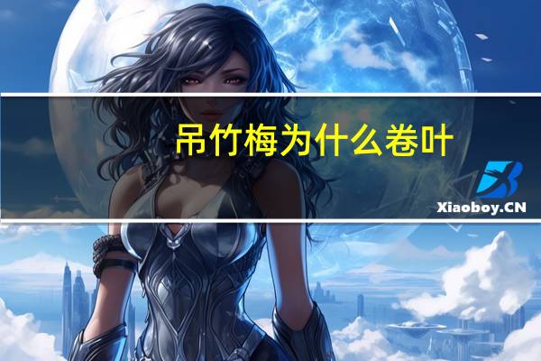 吊竹梅为什么卷叶