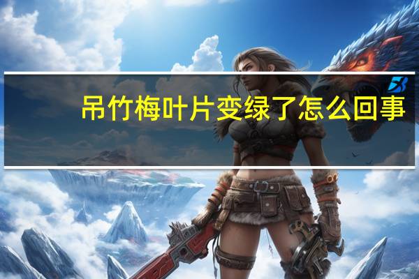 吊竹梅叶片变绿了怎么回事