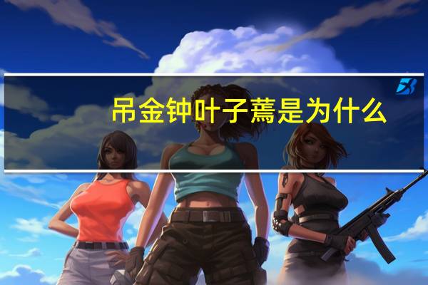 吊金钟叶子蔫是为什么