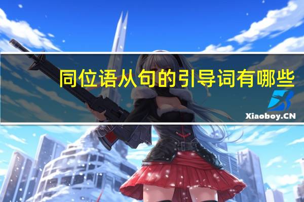 同位语从句的引导词有哪些