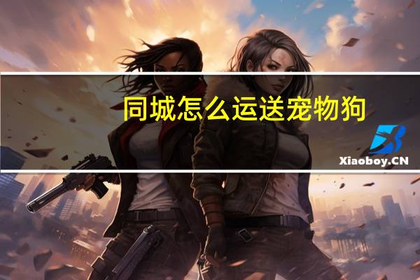 同城怎么运送宠物狗