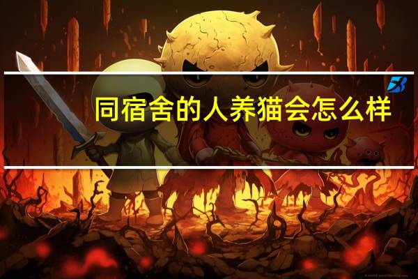 同宿舍的人养猫会怎么样