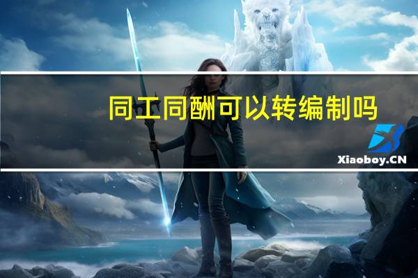 同工同酬可以转编制吗