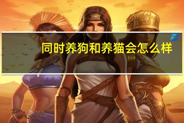 同时养狗和养猫会怎么样