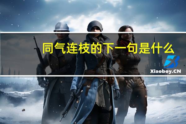 同气连枝的下一句是什么