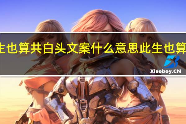 同淋雪此生也算共白头文案什么意思 此生也算共白头的上一句