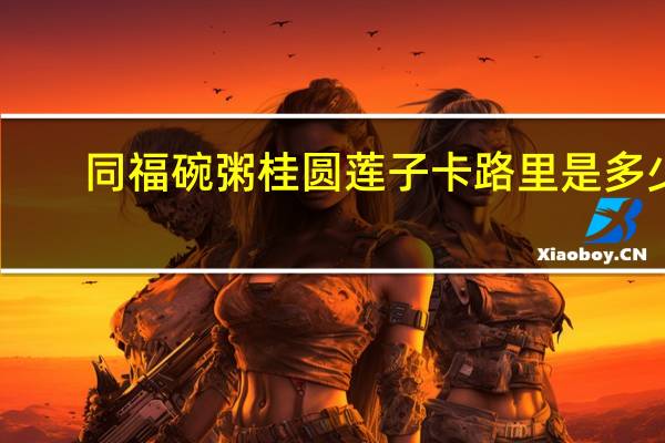 同福 碗粥 桂圆莲子卡路里是多少