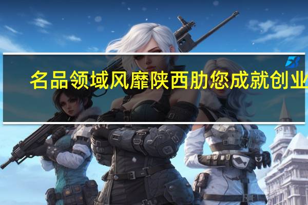名品领域风靡陕西 肋您成就创业梦