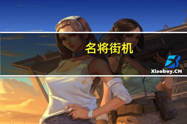 名将 街机（名将街机游戏小说）