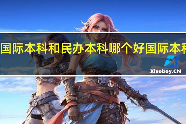 名校的国际本科和民办本科哪个好 国际本科学校有哪些