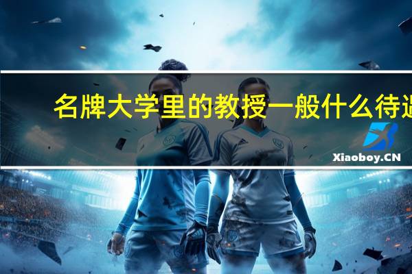 名牌大学里的教授一般什么待遇