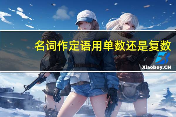 名词作定语用单数还是复数