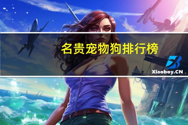 名贵宠物狗排行榜