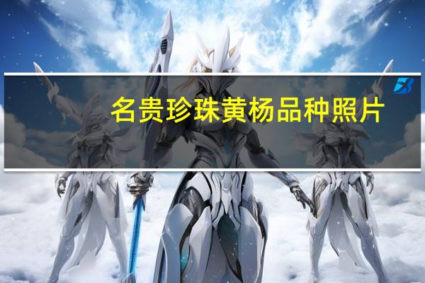 名贵珍珠黄杨品种照片