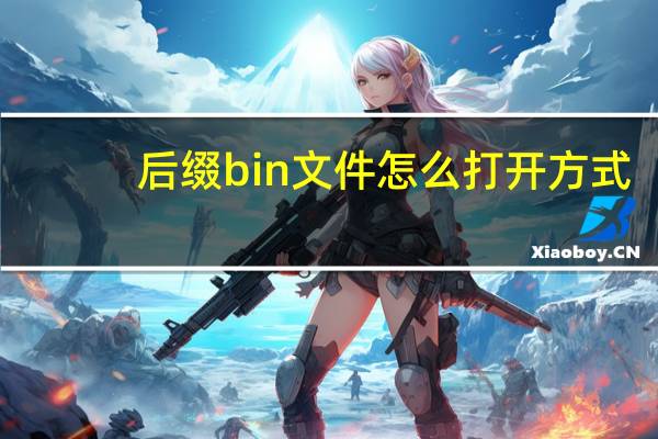 后缀bin文件怎么打开方式