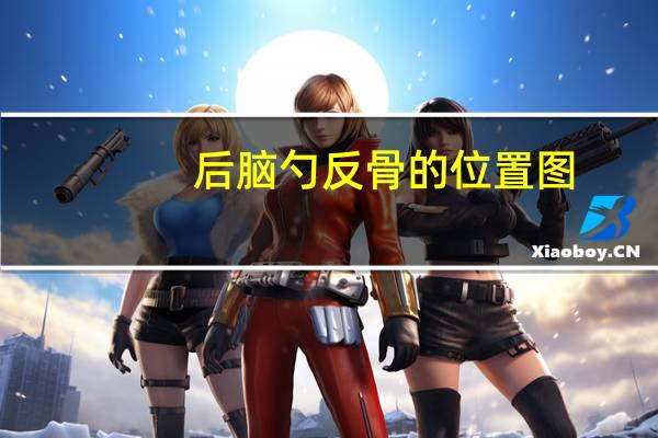 后脑勺反骨的位置图（后脑勺反骨）