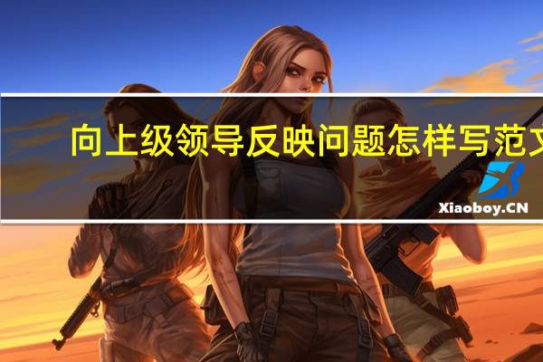 向上级领导反映问题怎样写范文（向上级反映情况范文）