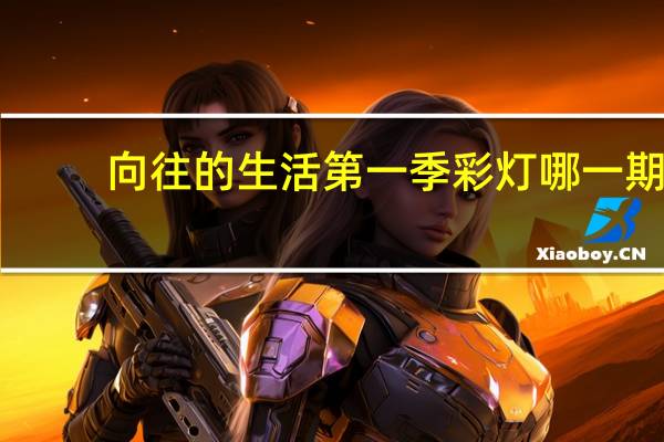 向往的生活第一季彩灯哪一期,被黄磊捡回家 向往的生活彩灯怎么了
