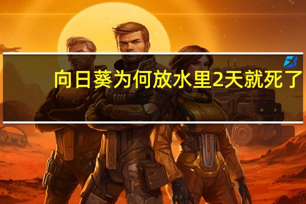 向日葵为何放水里2天就死了