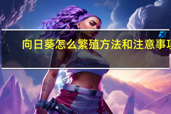 向日葵怎么繁殖方法和注意事项