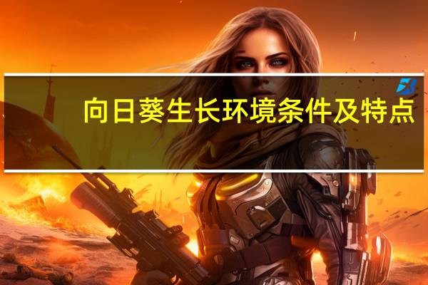 向日葵生长环境条件及特点