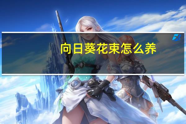 向日葵花束怎么养