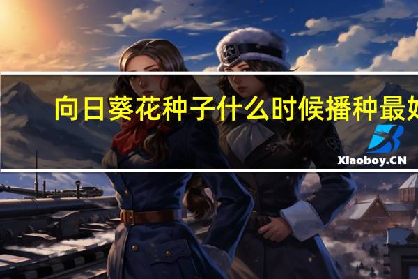向日葵花种子什么时候播种最好