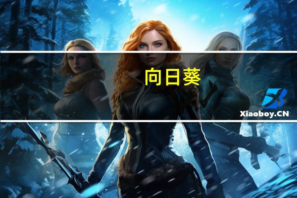 向日葵(关于向日葵的介绍)