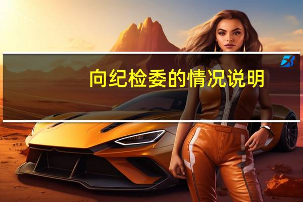 向纪检委的情况说明（向纪委写情况说明范文）