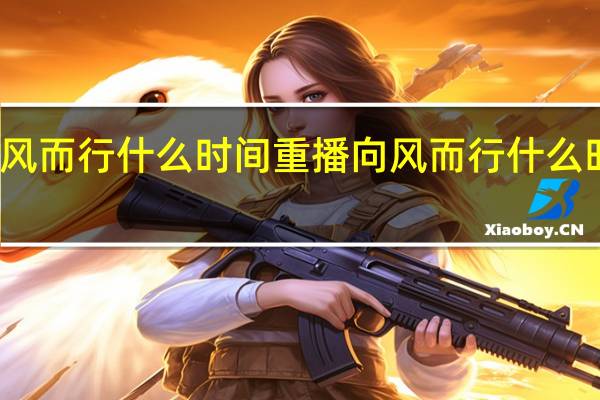 向风而行什么时间重播 向风而行什么时候播出