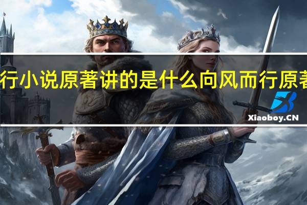 向风而行小说原著讲的是什么 向风而行原著小说叫什么