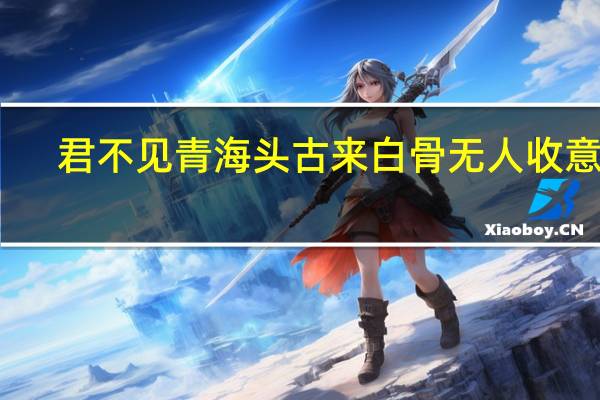 君不见青海头古来白骨无人收意思