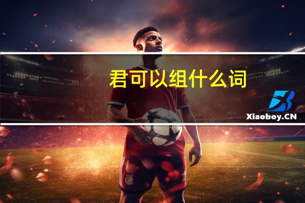 君可以组什么词