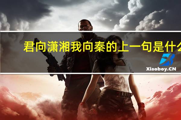 君向潇湘我向秦的上一句是什么