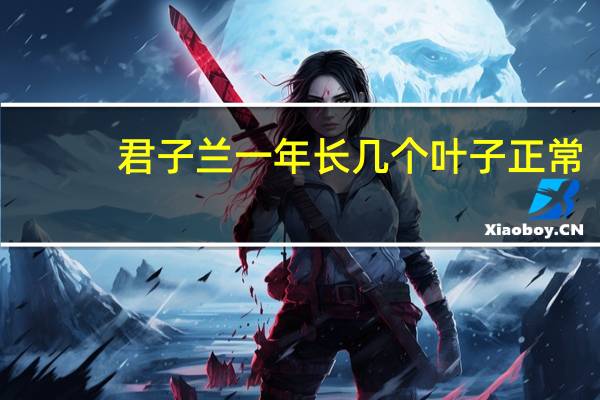 君子兰一年长几个叶子正常