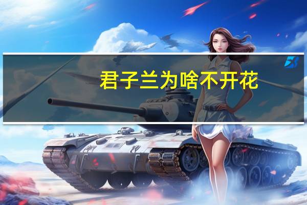 君子兰为啥不开花
