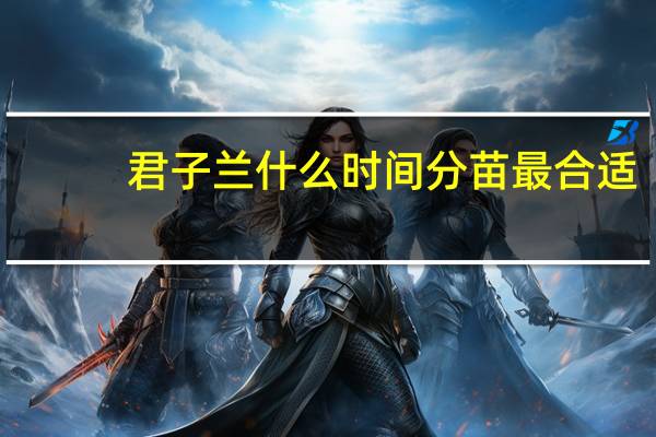 君子兰什么时间分苗最合适