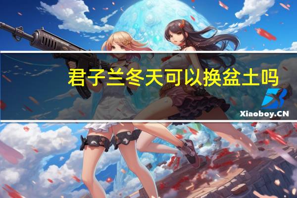 君子兰冬天可以换盆土吗?