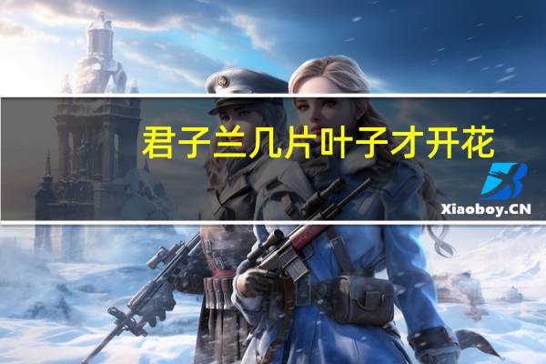 君子兰几片叶子才开花