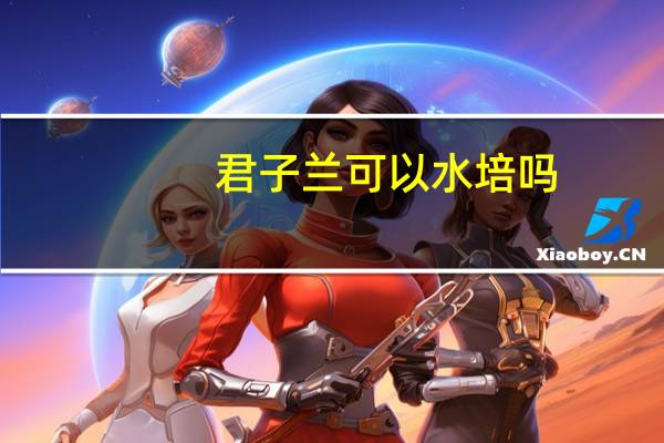 君子兰可以水培吗:只要营养跟得上