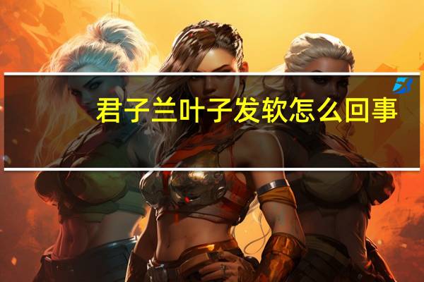 君子兰叶子发软怎么回事