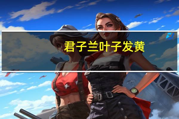 君子兰叶子发黄,烂叶怎么办