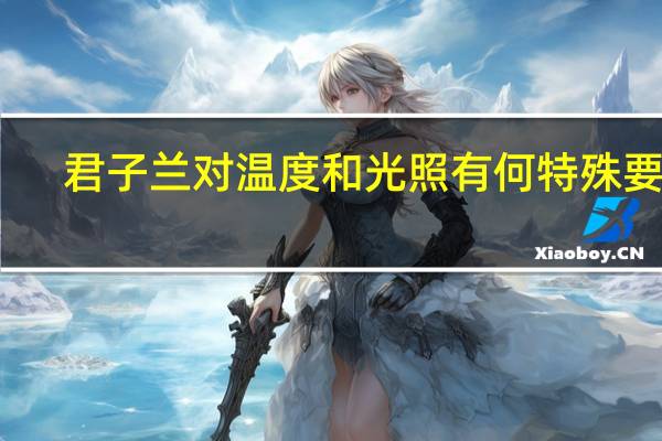 君子兰对温度和光照有何特殊要求