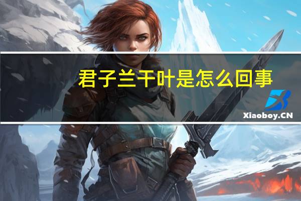 君子兰干叶是怎么回事